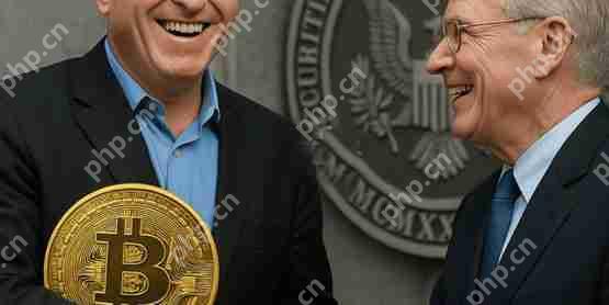 美国sec回应dell购买比特币储备意见：直接买不用先问股东 我们不会执法